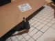 ..   ASS 19V 2,1A 2,5_0,7 Lp-524