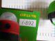   camping " YT-817 ( Y-892 )   "