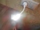  USB LED   " BORN " -  