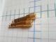  AUX 3,5mm  6,5 mm Gold (  79) .