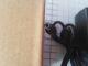  12V 3A ( 5,5 .  ) LP224 ( 2,8 ) .