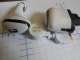   iphon 4 () -  